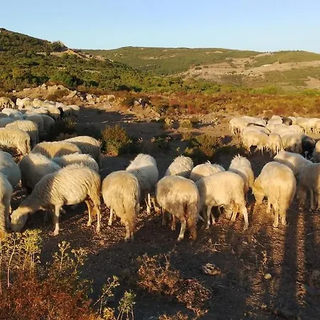 Διαμέρισμα Casa A Silius